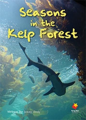 Cover image for Seasons In the Kelp Forest