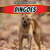 Cover image for Dingoes