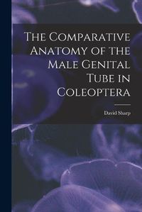 Cover image for The Comparative Anatomy of the Male Genital Tube in Coleoptera