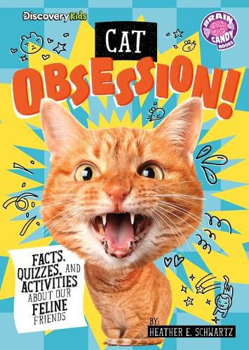 Cover image for Cat Obsession!
