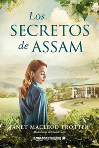 Cover image for Los secretos de Assam