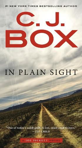 Cover image for In Plain Sight