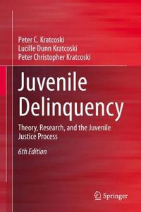 Cover image for Juvenile Delinquency: Theory, Research, and the Juvenile Justice Process