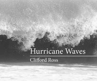 Cover image for Hurricane Waves
