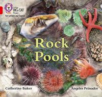 Cover image for Rock Pools: Band 02b/Red B