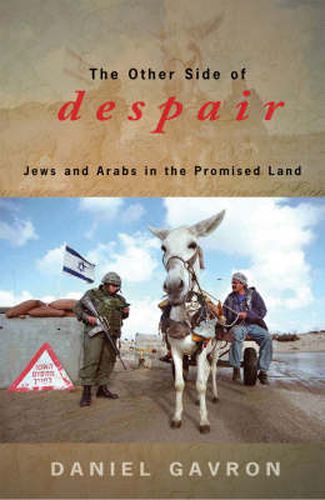 Cover image for The Other Side of Despair: Jews and Arabs in the Promised Land