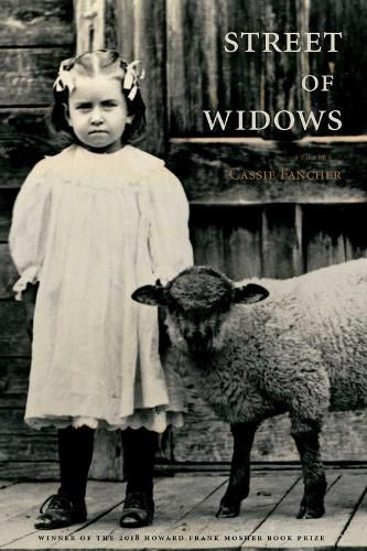 Cover image for Street of Widows