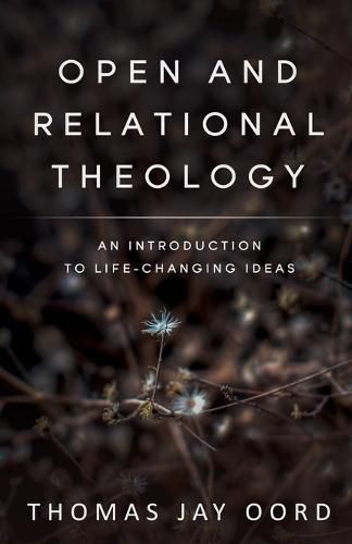 Cover image for Open and Relational Theology: An Introduction to Life-Changing Ideas