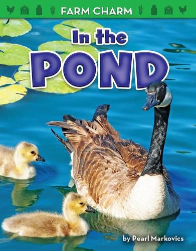 Cover image for In the Pond