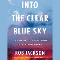 Cover image for Into the Clear Blue Sky