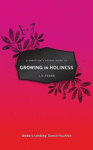 Cover image for A Christian's Pocket Guide to Growing in Holiness: Understanding Sanctification