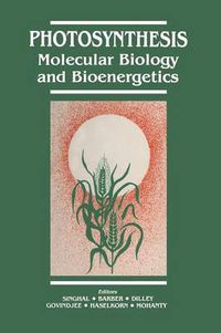 Cover image for Photosynthesis: Molecular Biology and Bioenergetics