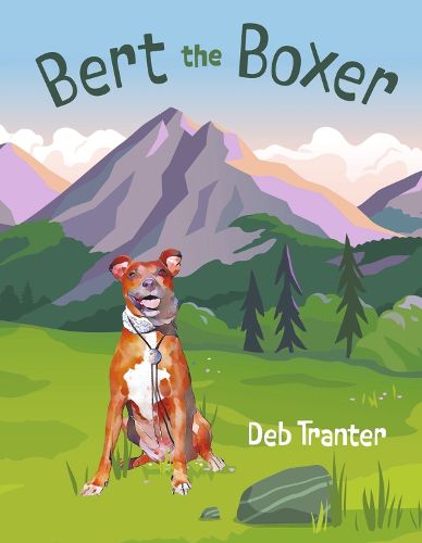 Cover image for Bert the Boxer