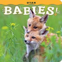 Cover image for Utah Babies!