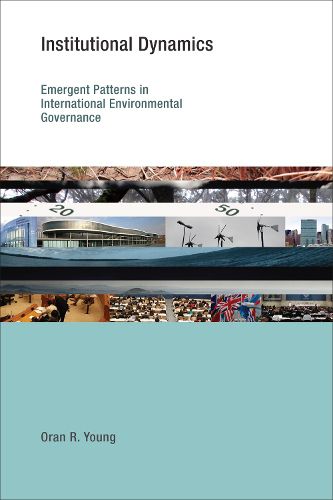Cover image for Institutional Dynamics: Emergent Patterns in International Environmental Governance