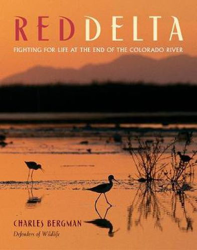 Cover image for Red Delta: Fighting for Life at the End of the Colorado River