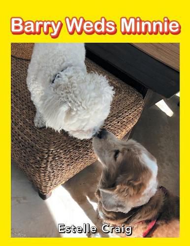 Cover image for Barry Weds Minnie