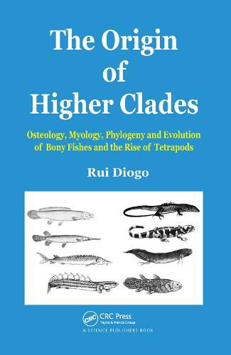 Cover image for The Origin of Higher Clades: Osteology, Myology, Phylogeny and Evolution of Bony Fishes and the Rise of Tetrapods