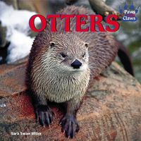 Cover image for Otters