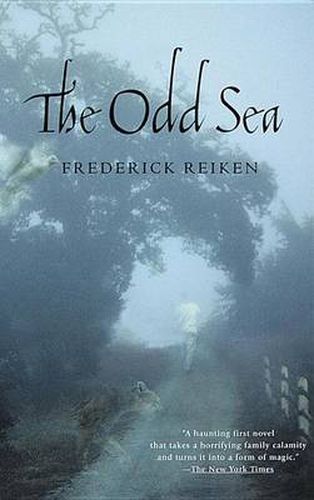 Cover image for The Odd Sea: A Novel