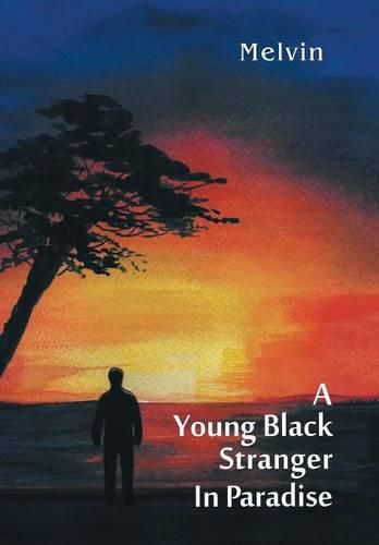 Cover image for A Young Black Stranger in Paradise