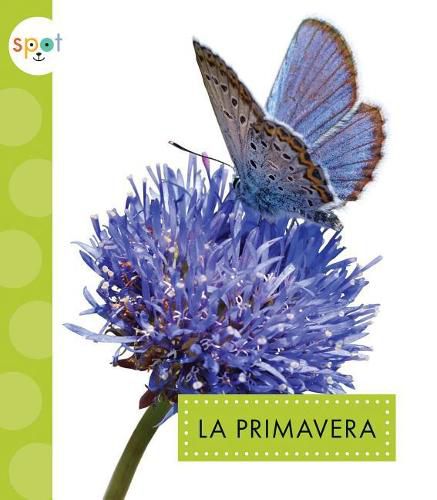 Cover image for La Primavera