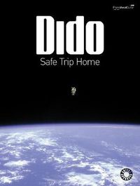 Cover image for Safe Trip Home