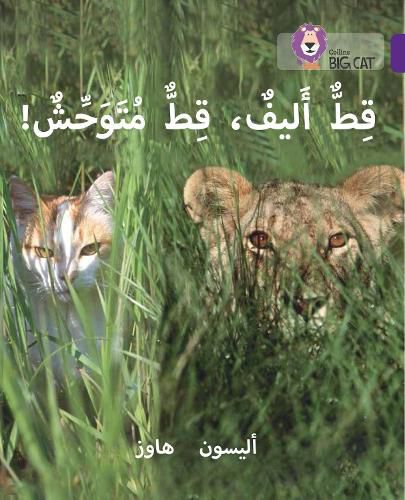 Cover image for Tame Cat, Wild Cat: Level 8