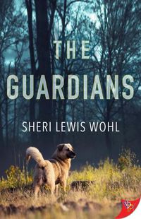 Cover image for The Guardians