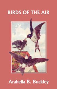 Cover image for Birds of the Air (Yesterday's Classics)