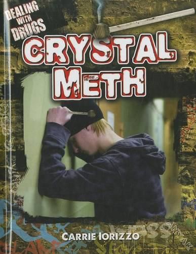 Cover image for Crystal Meth