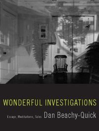 Cover image for Wonderful Investigations: Essays, Meditations, Tales