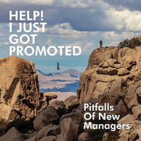 Cover image for Help! I Just Got Promoted