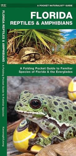 Florida Reptiles & Amphibians: A Folding Pocket Guide to Familiar Species of Florida & the Everglades