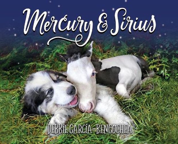 Cover image for Mercury & Sirius