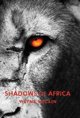 Cover image for Shadows of Africa