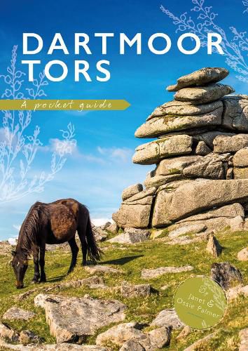 Dartmoor Tors