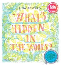 Cover image for What's Hidden in the Woods?