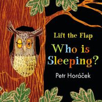 Cover image for Who Is Sleeping?