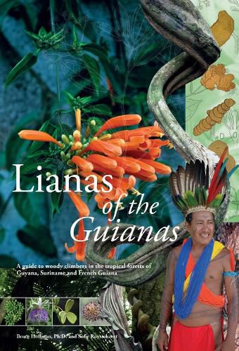 Lianas of the Guianas: A Fieldguide to Woody Climbers in the Tropical Forests of Guyana, Suriname and French Guyana