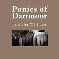 Cover image for Ponies of Dartmoor