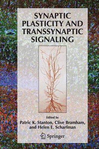 Cover image for Synaptic Plasticity and Transsynaptic Signaling