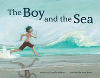 Cover image for The Boy and the Sea