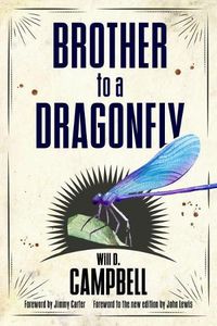 Cover image for Brother to a Dragonfly