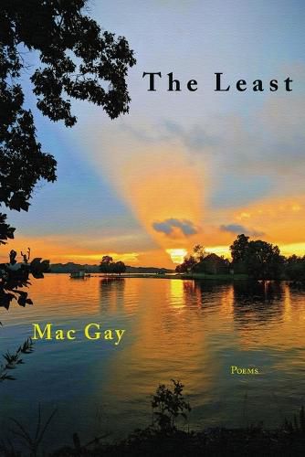 Cover image for The Least