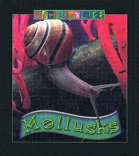 Cover image for Mollusks