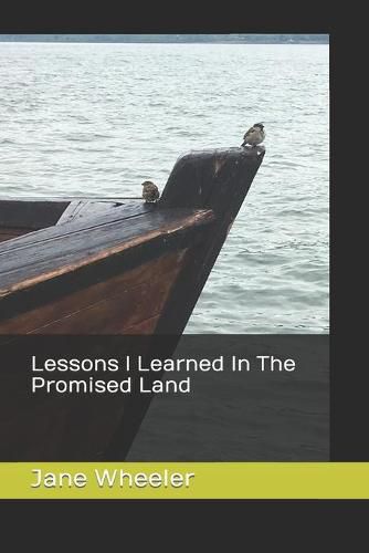 Cover image for Lessons I Learned in The Promised Land