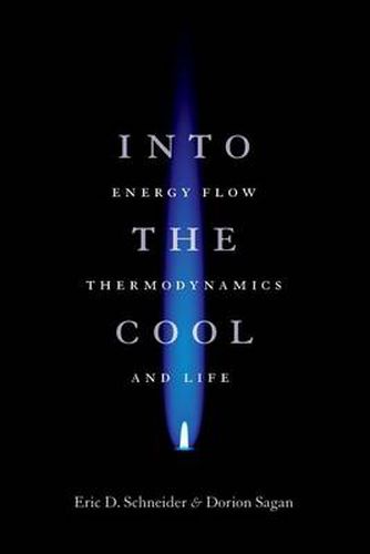 Cover image for Into the Cool: Energy Flow, Thermodynamics and Life