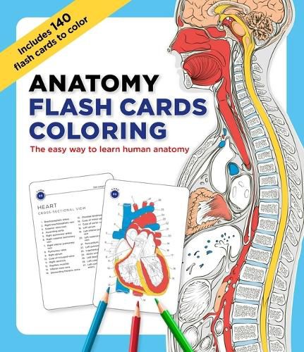 Cover image for Anatomy Flash Cards Coloring