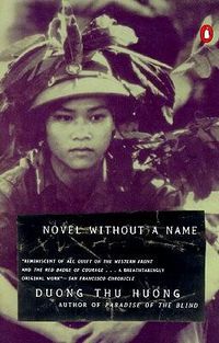 Cover image for Novel without a Name